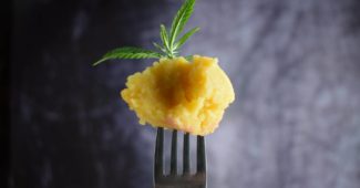 Kartoffelmos med et hampblad på en gaffel